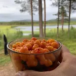 Kaupinmaja, Yllaes, Aekaeslompolo, Lapland - Log With And Fell Scenery アパート