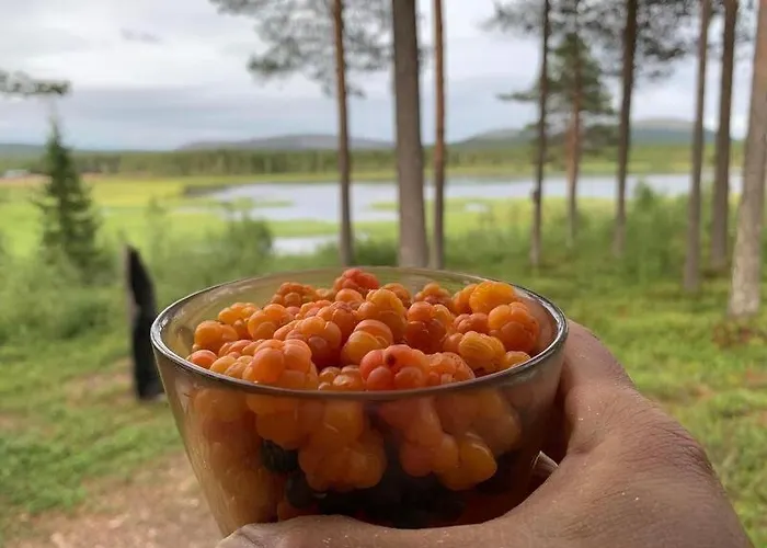 Kaupinmaja, Yllaes, Aekaeslompolo, Lapland - Log With And Fell Scenery Appartamento